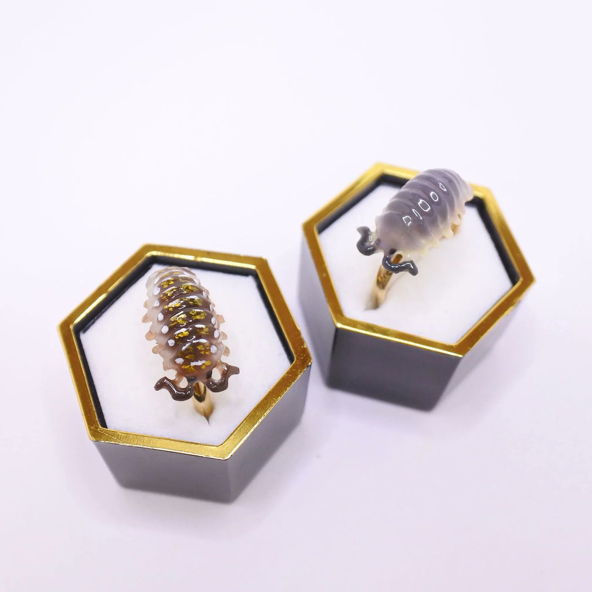sasacojunior's tweet photo. Pill bugs aren’t insects.
They’re crustaceans—closer to shrimp and crabs than bugs.
A land-dwelling twist on a marine lineage. 🪲
https://t.co/sJTN3jZ122
#PillBug #Crustacean #ArtistOnX https://t.co/nEedZszqc1