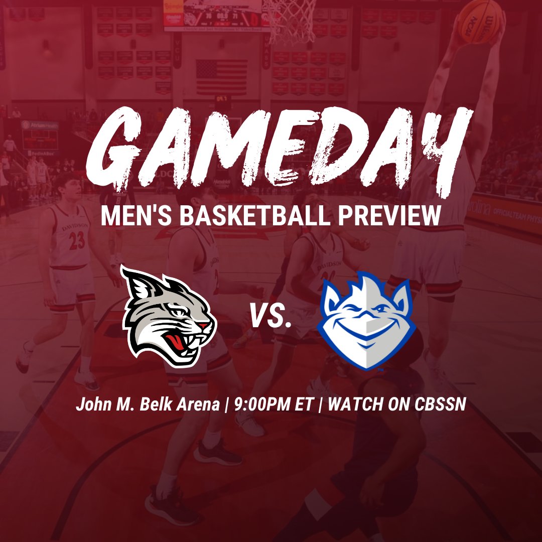 'Cats Stats tweet media