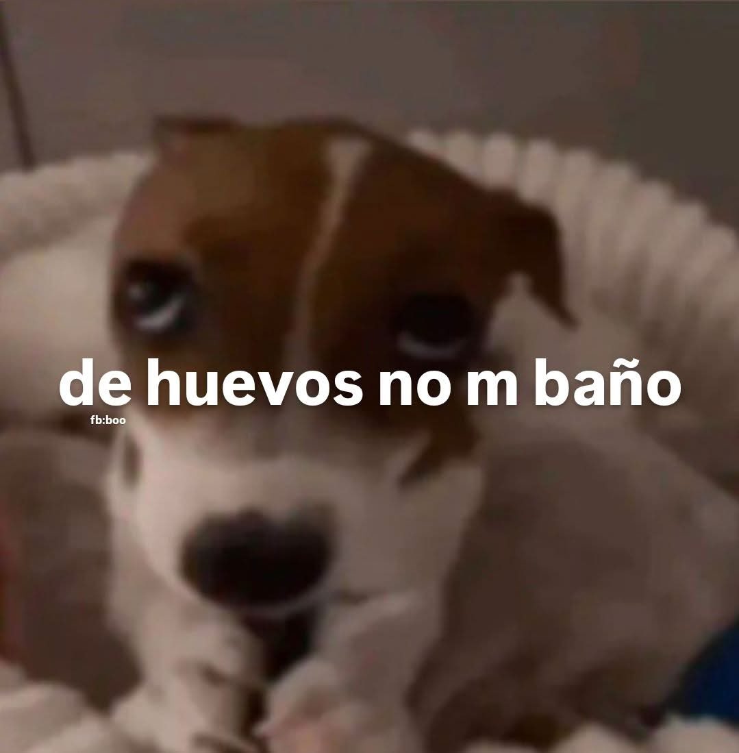 Salvador Iglesias Jr (@javisness) on Twitter photo 