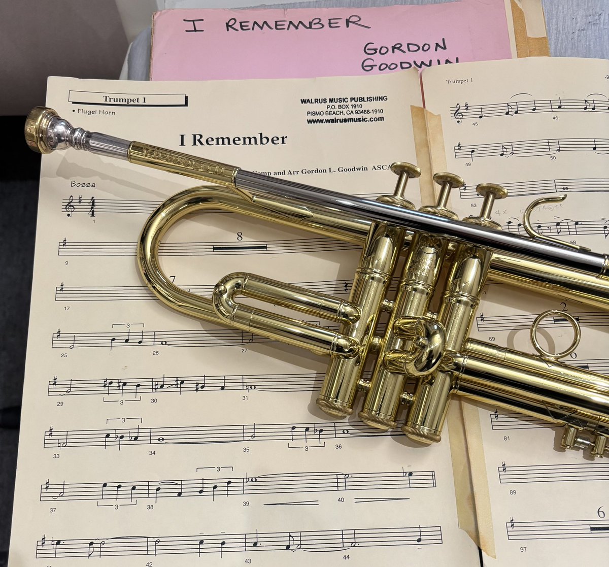 Masashi Sugiyama (@msbrasscamp) / Posts / X