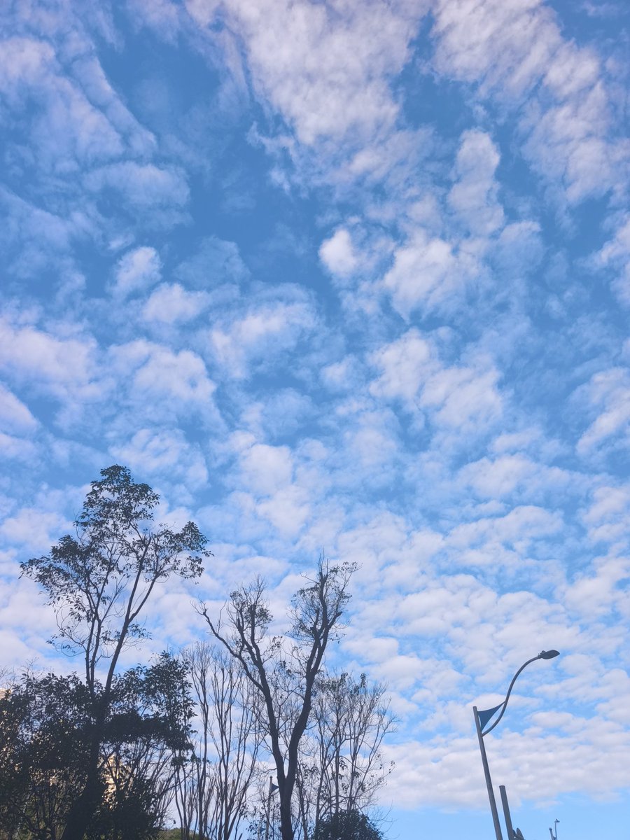 ottokao2002's tweet photo. 立春，久違的好天氣😎 https://t.co/GNJTDRp2Fk