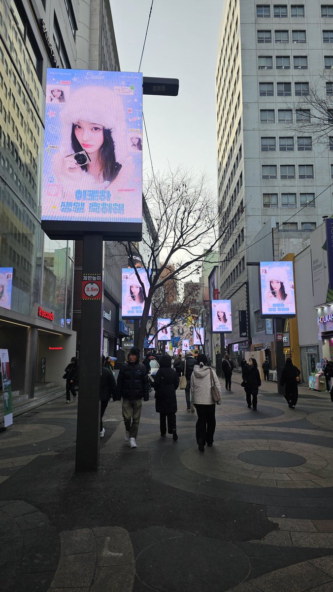 IROHA_CamelliaDiary tweet media