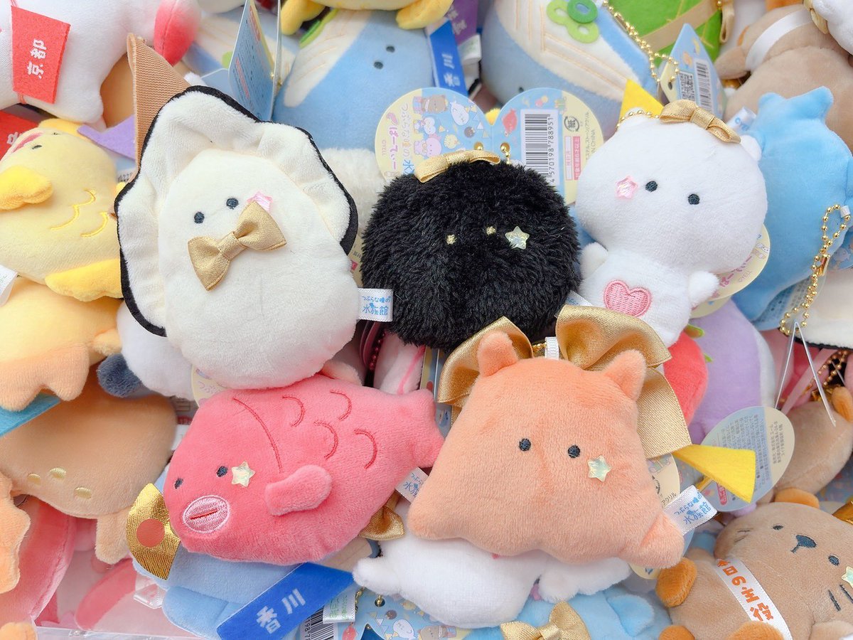 つぶらな瞳の仲間達【公式】 (@tsuburana_aqua) / Posts / X