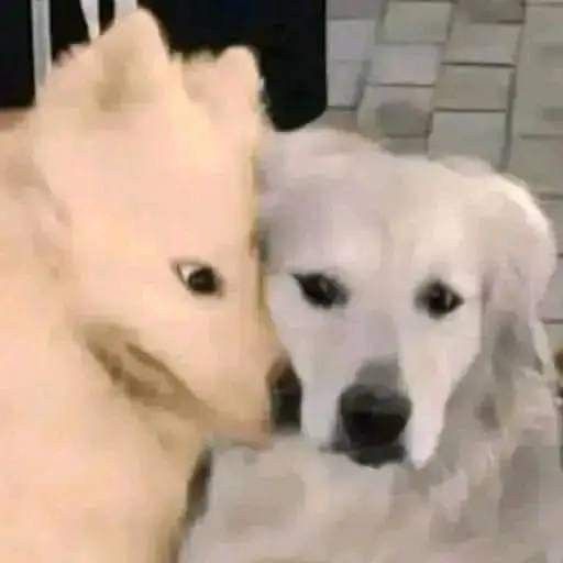 🔞🖤YUME CREATHYᑎ🖤🔞 tweet media