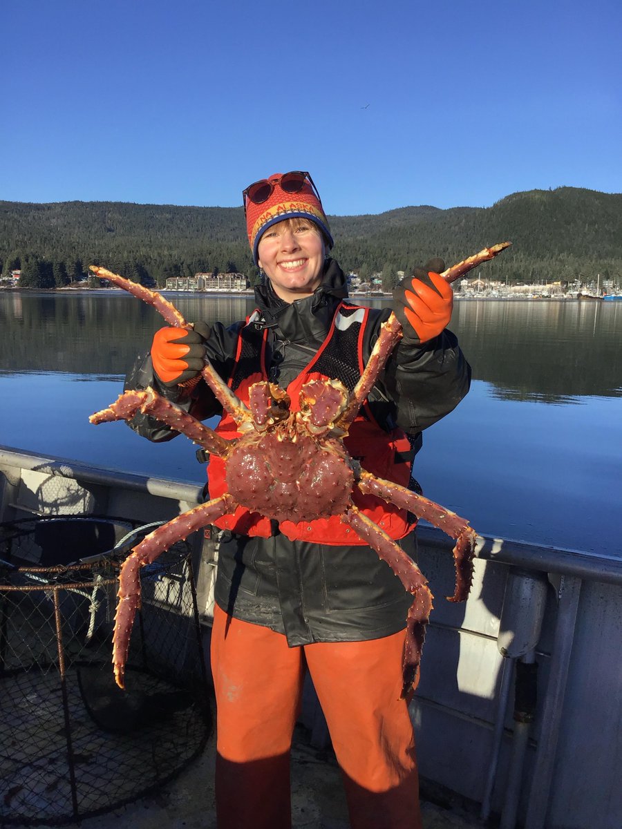 USACE Alaska District tweet media