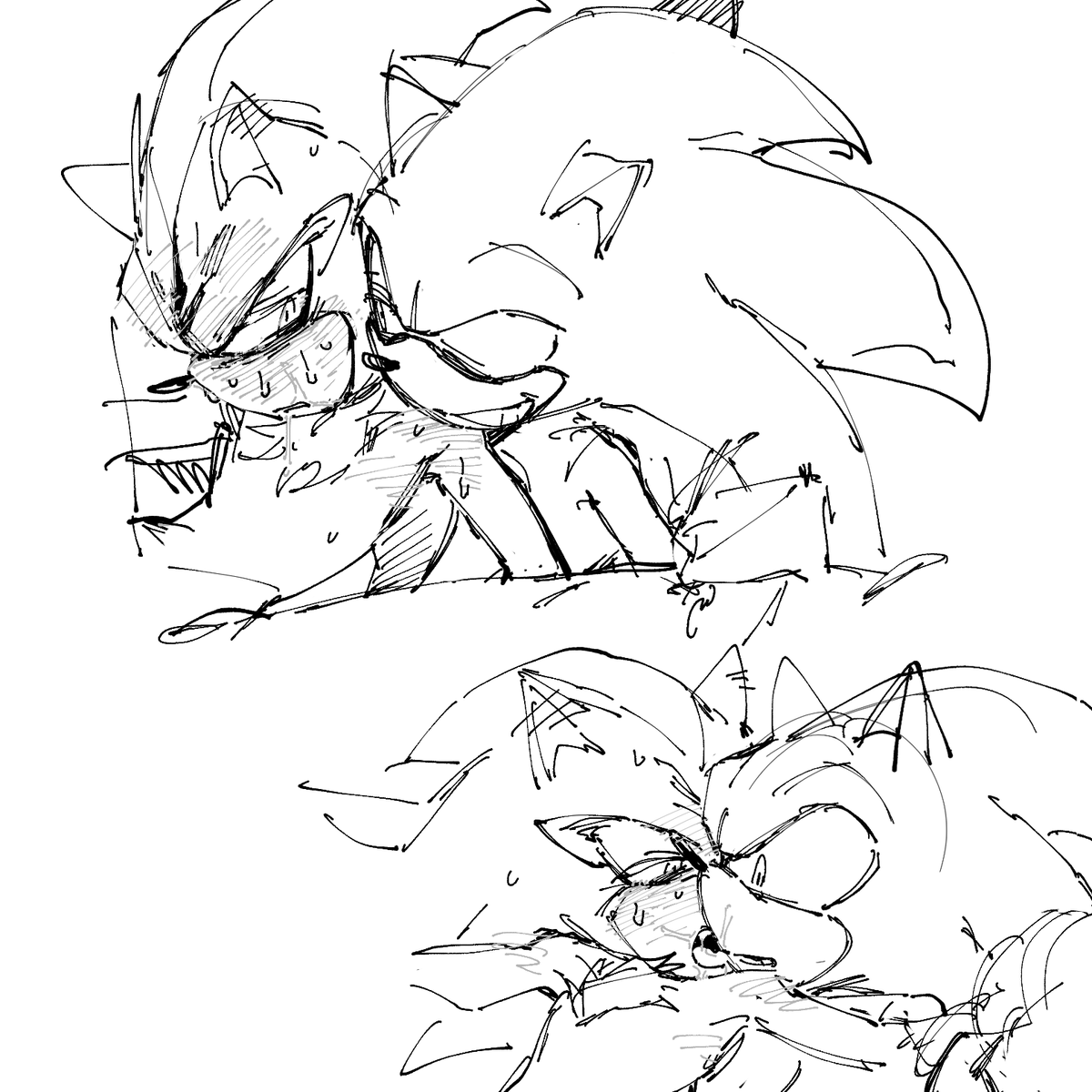 unhinged_sonic's tweet photo. https://t.co/cR0Y59uyEy
