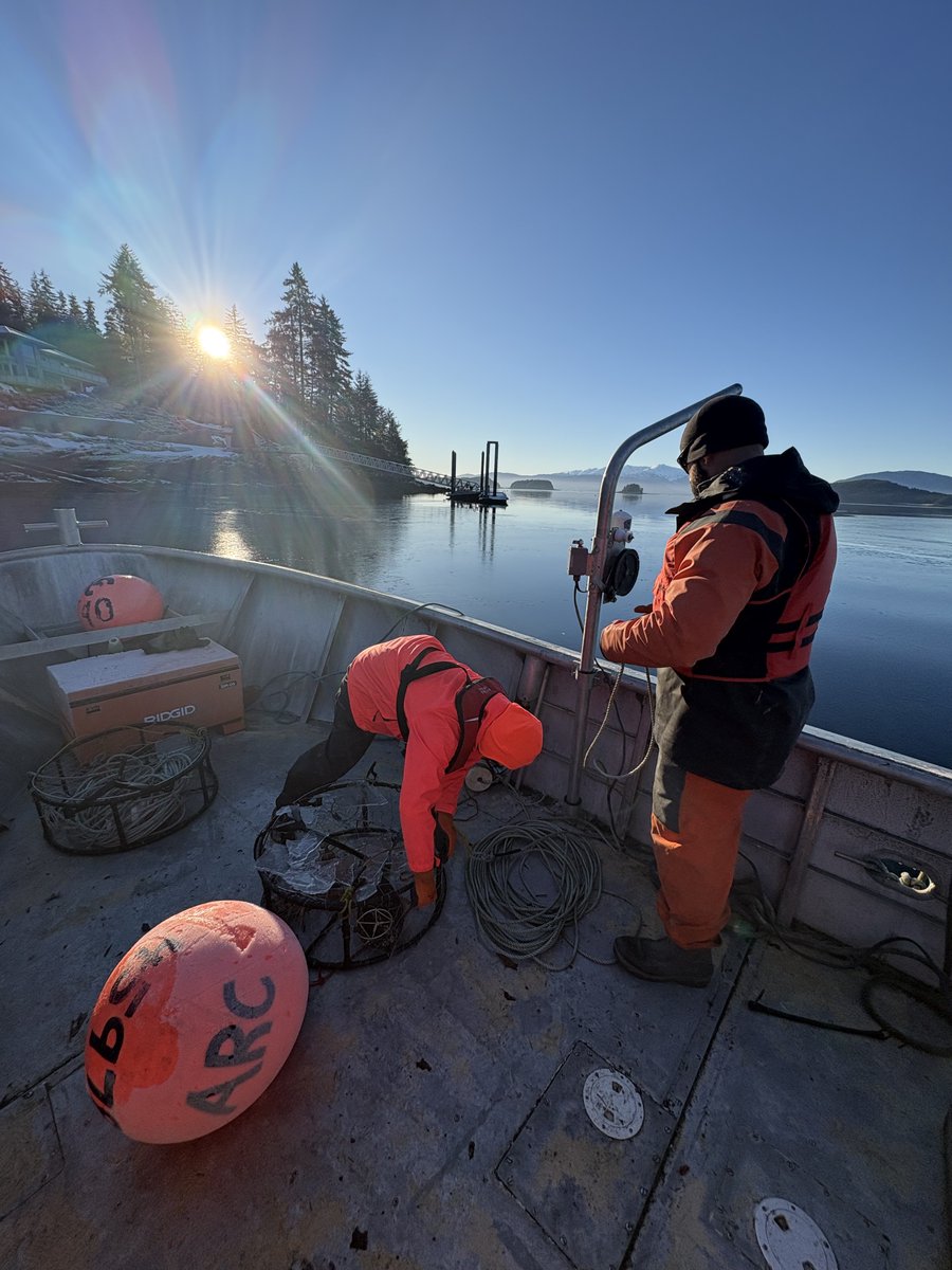 USACE Alaska District tweet media