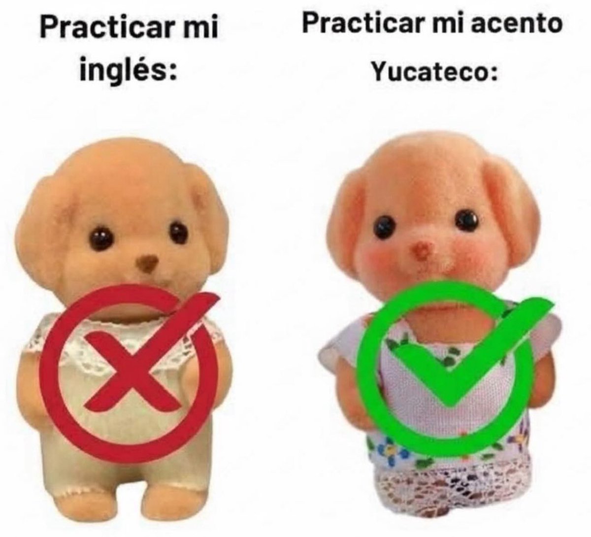 conoloracigarro's tweet photo. https://t.co/TRfBuN1jqQ