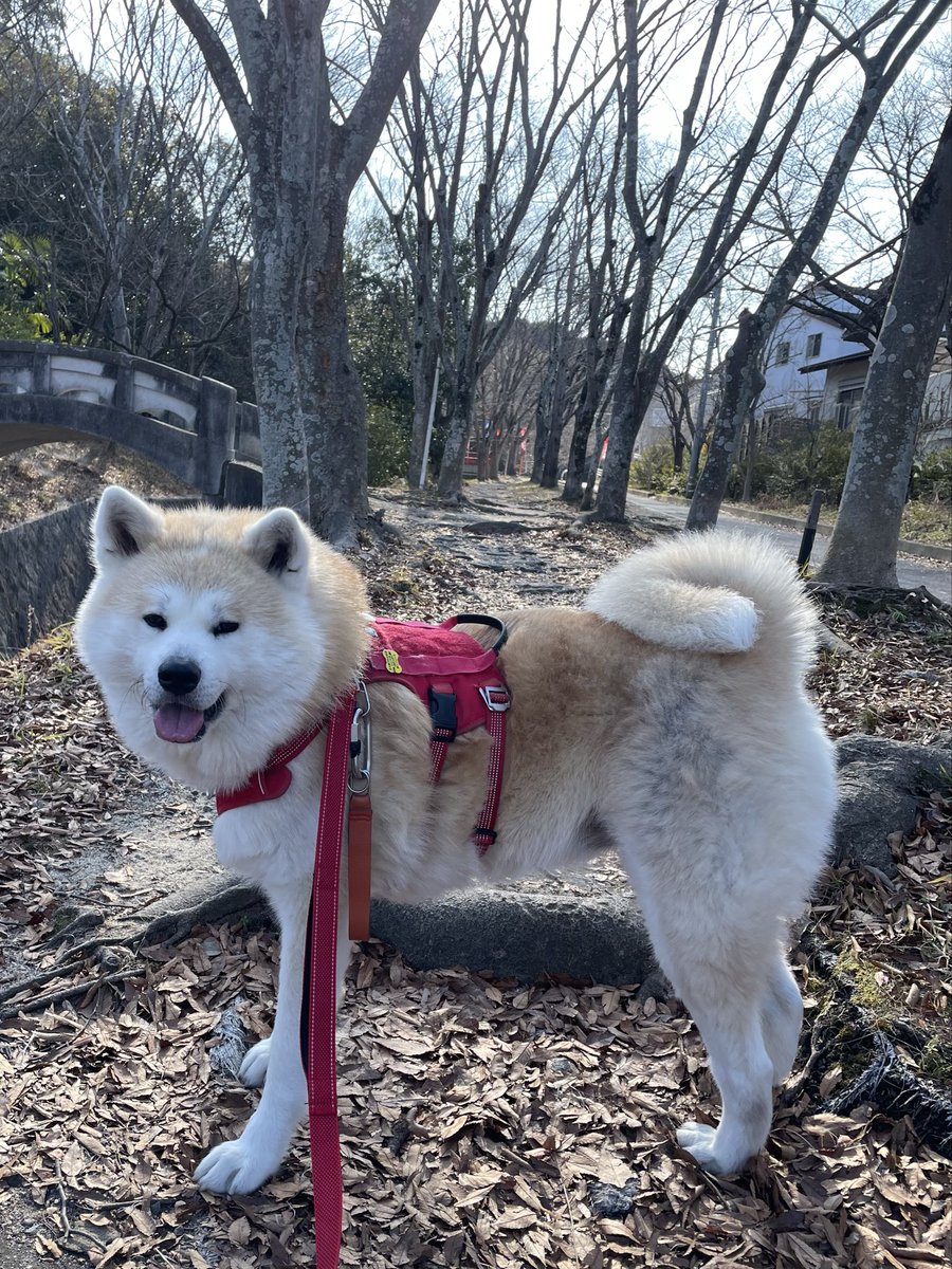 ْ (@65907_30_4) / Posts / X