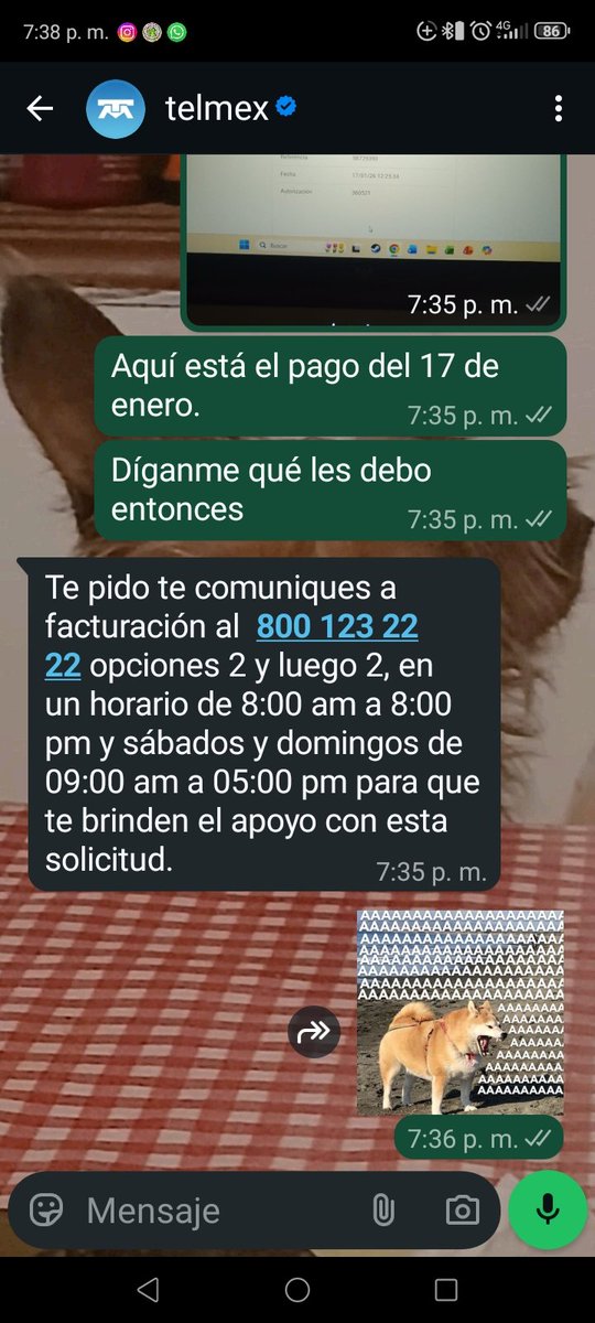 WeeirdFishees's tweet photo. @TELMEXSoluciona https://t.co/wSykeNDcZI