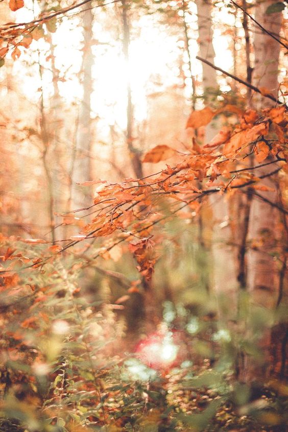 퐈롼봐돠 (@sky2014sea) on Twitter photo 