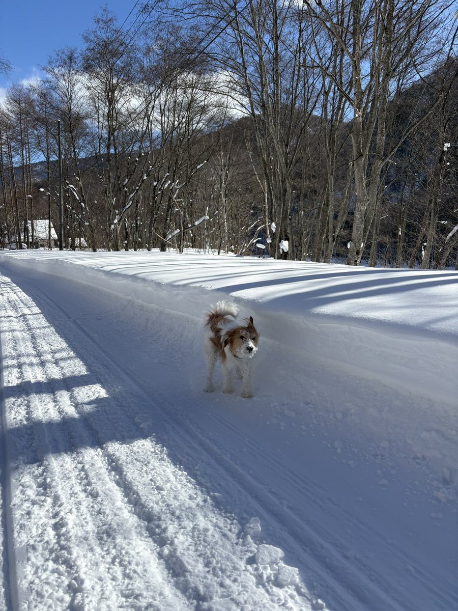 donnoolu's tweet photo. 久しぶりのいい天気 https://t.co/Im4K6PfDFL
