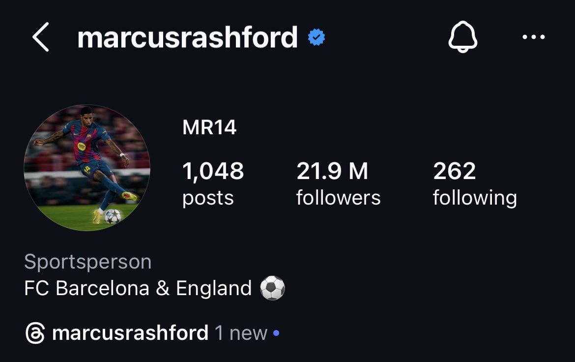 Paddy🇮🇪 tweet media