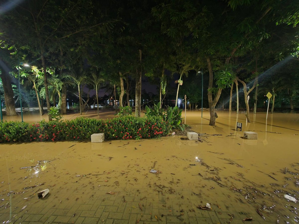 #Fotonoticia 📸 El río Sinú pasó a ocupar zonas verdes en el Parque Lineal Ronda del Sinú en Montería. Desde la cruda emergencia en 2010 no se registraban estas imágenes.

#FuerzaNatural #FuerzaCórdoba 💪🏽

*Fotos cortesía