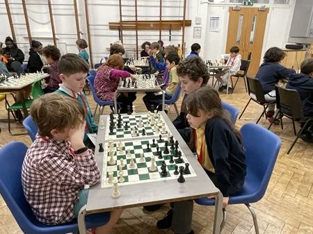 Chess in Schools and Communities tweet media