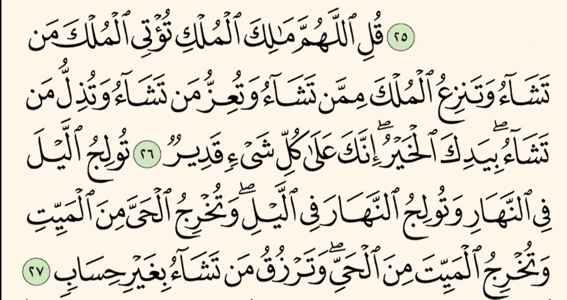 #المدينة_المنورة