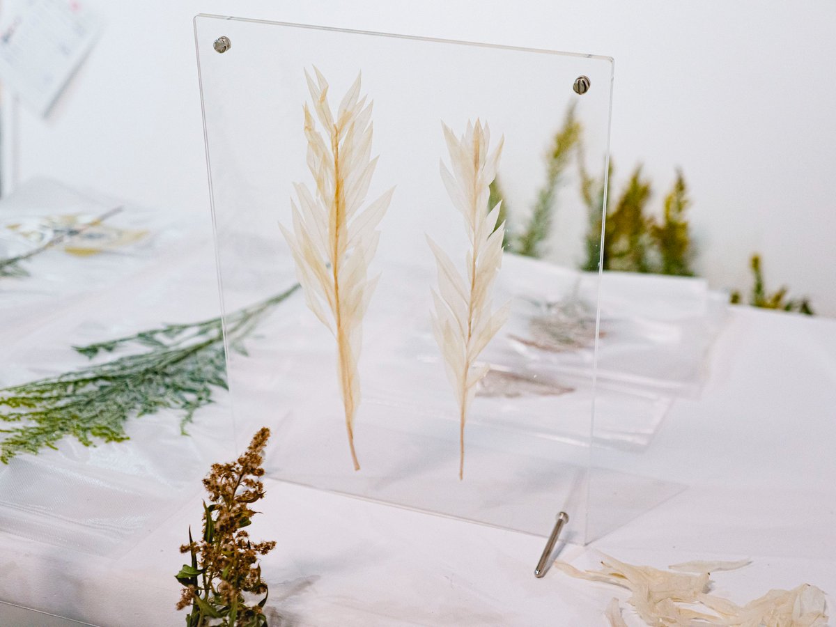 abelest ⊂ 足の踏み場 tweet media