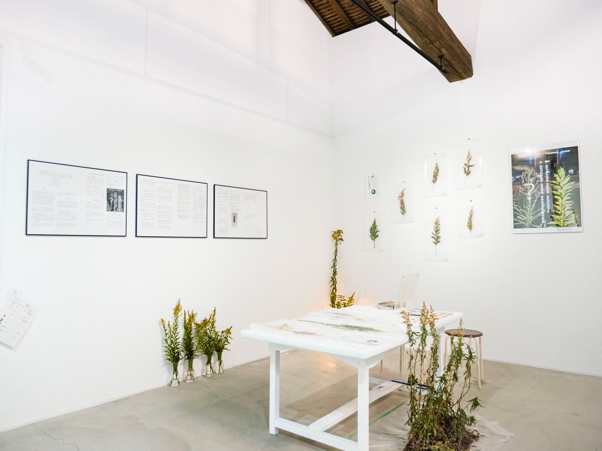 abelest ⊂ 足の踏み場 tweet media