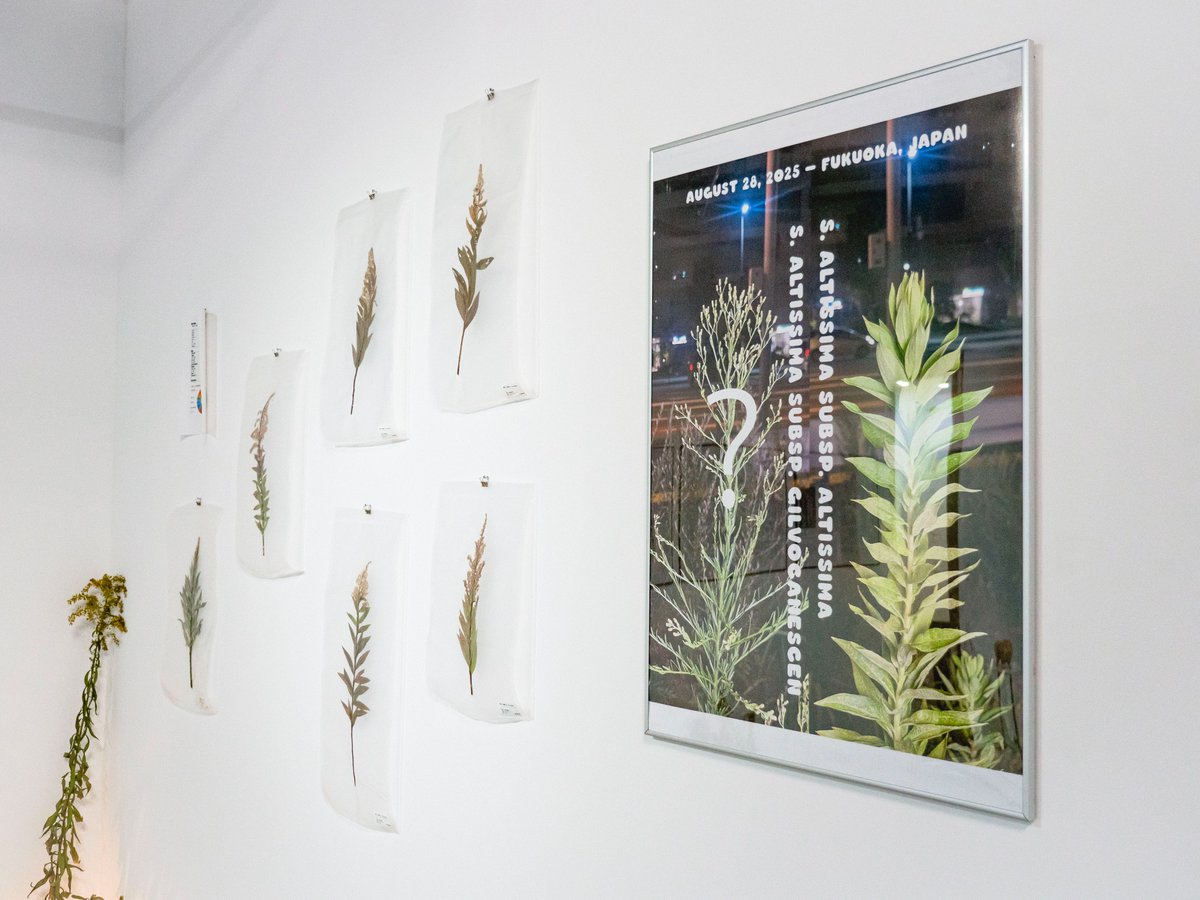 abelest ⊂ 足の踏み場 tweet media