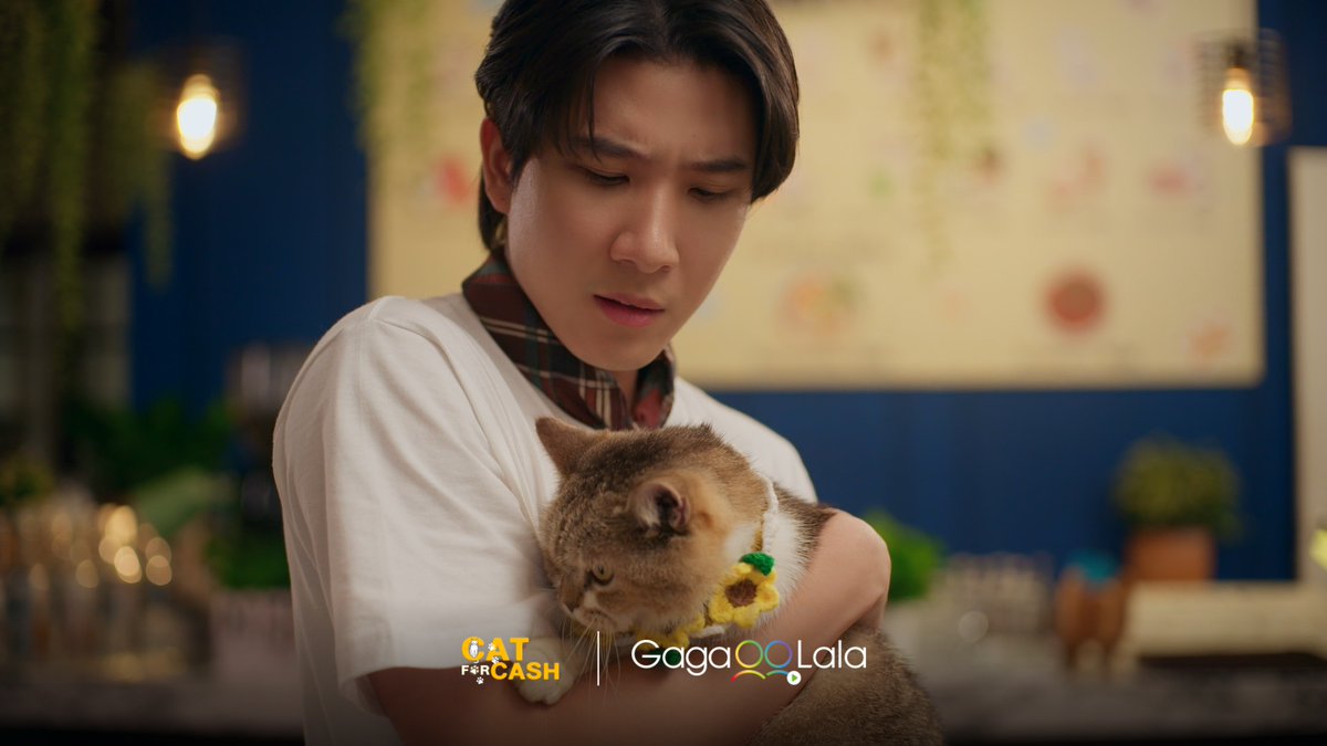 📢 𝑷𝑹𝑬𝑴𝑰𝑬𝑹𝑬
😻 #CatForCashEP4

Why yes, Lynx, obviously Tiger DOES have a crush on you!

Watch here▶️ bit.ly/45AqxeV
⏰ TUE 9:30PM GMT+8

Available in: 🇺🇸🇬🇧🇩🇪🇫🇷

#เปย์รักด้วยแมวเลี้ยง #เปย์รักด้วยแมวเลี้ยง #FirstKhaotung #เฟิร์สข้าวตัง
@firstkpp <a href="/myktnw/">KHAOTUNG</a>