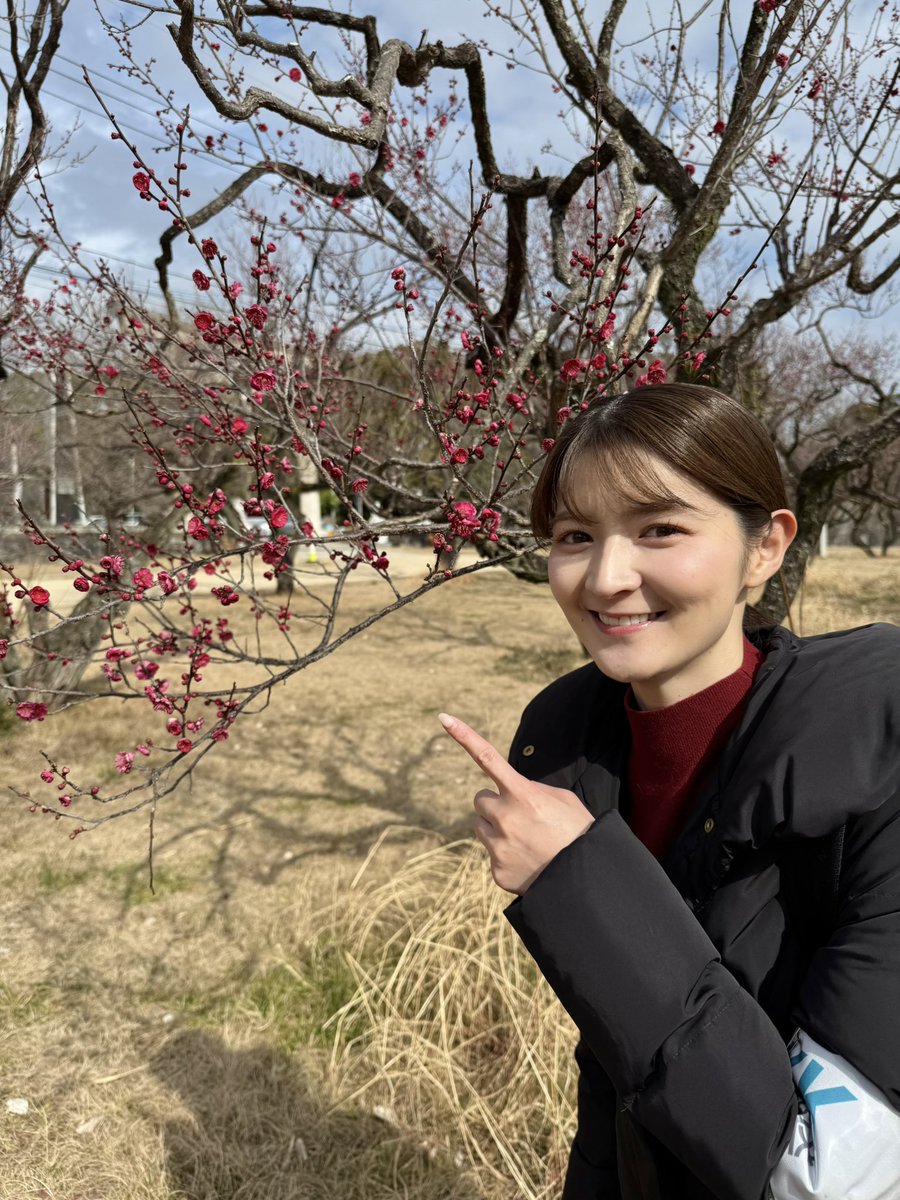 『NEWSゲツキン』公式 tweet media