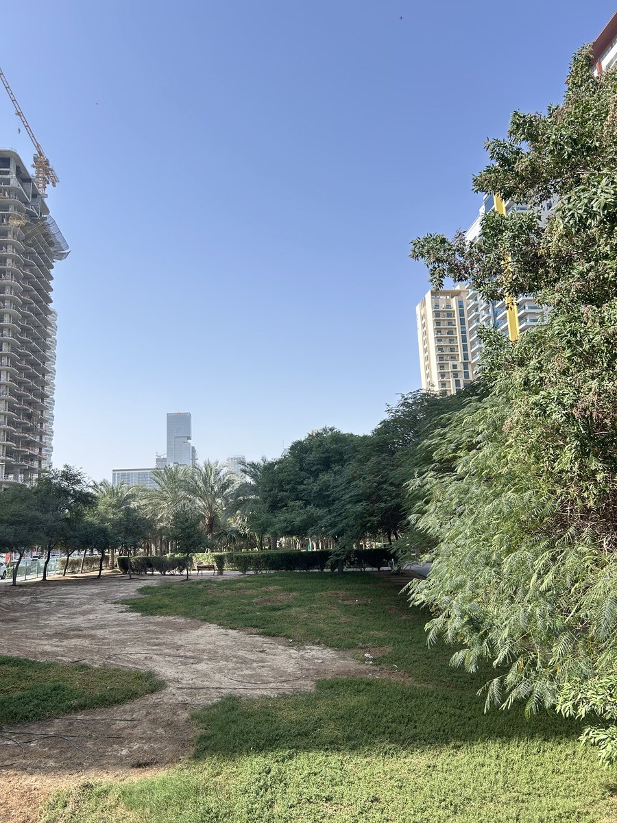 Shuayb__'s tweet image. “Dubai has no nature”

2mins from my apartment 👍🏾