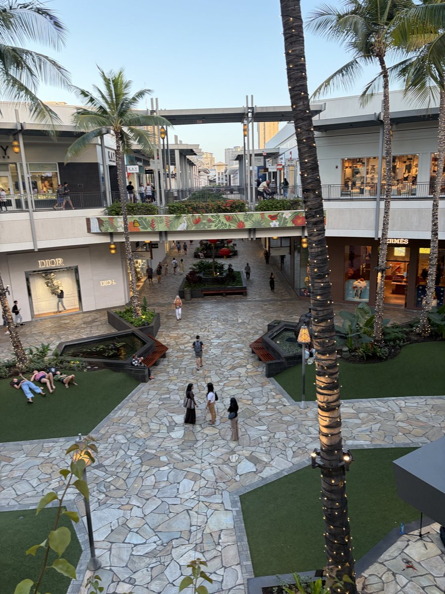 山本空良（公式） tweet media