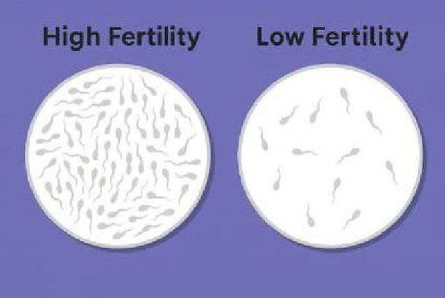MasculineNotes's tweet photo. Most men are unknowingly destroying their fertility every single day.

Here are 8 silent killers that are murdering your sperm count (&amp; how to fix them): https://t.co/EkvaeP40P8