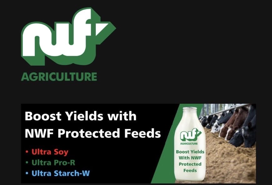 Rupert Stafford tweet media