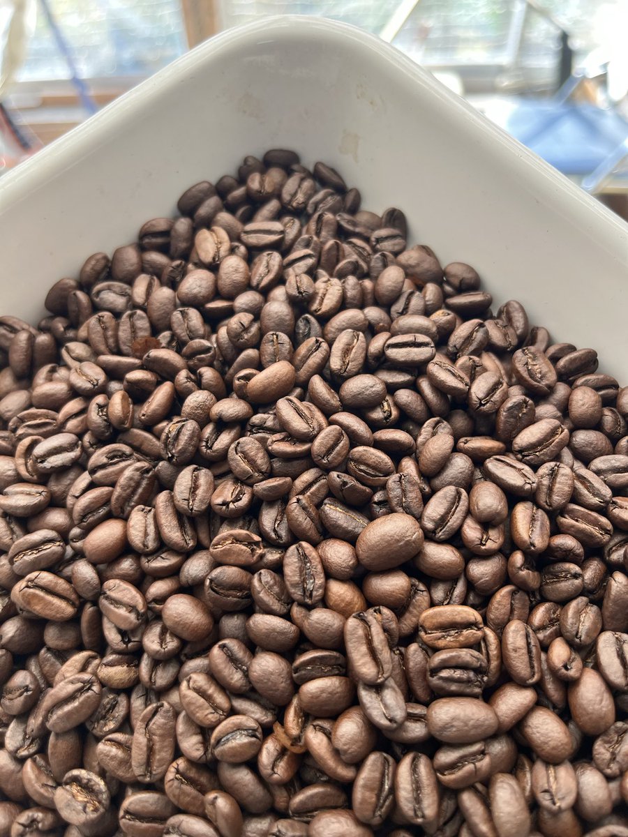 katkazu's tweet photo. 1ハゼ聞こえなくなるくらいでstop。

ゴマショコーヒー
始めます。 https://t.co/8Eys09qOrG