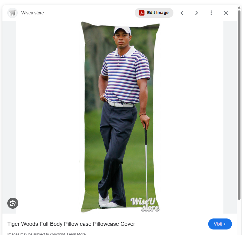 ch0ly's tweet photo. who wants to split a tiger woods body pillow w me? https://t.co/2c1Qrg4Zkb