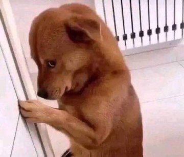 Instagram didn't let me call someone a dumb fuck