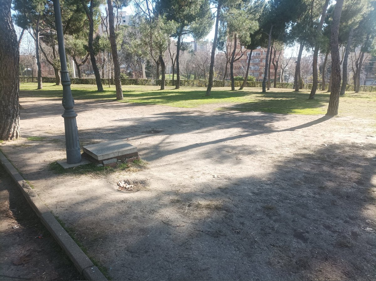 sergio Nuñez tweet media