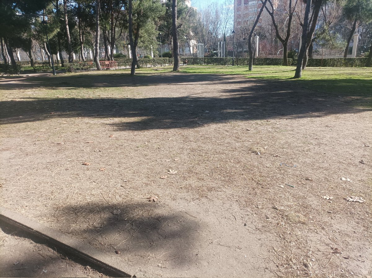 sergio Nuñez tweet media