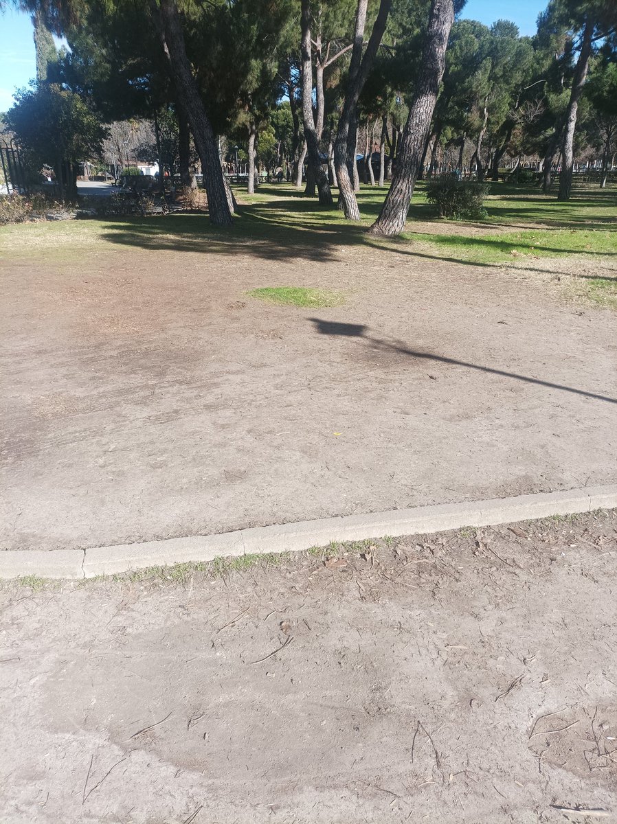 sergio Nuñez tweet media