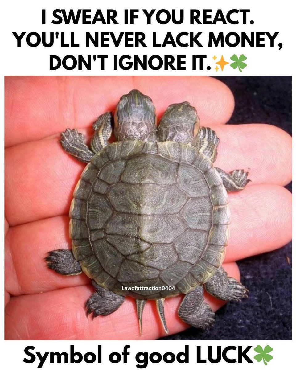 Law Of Attraction Coach tweet media