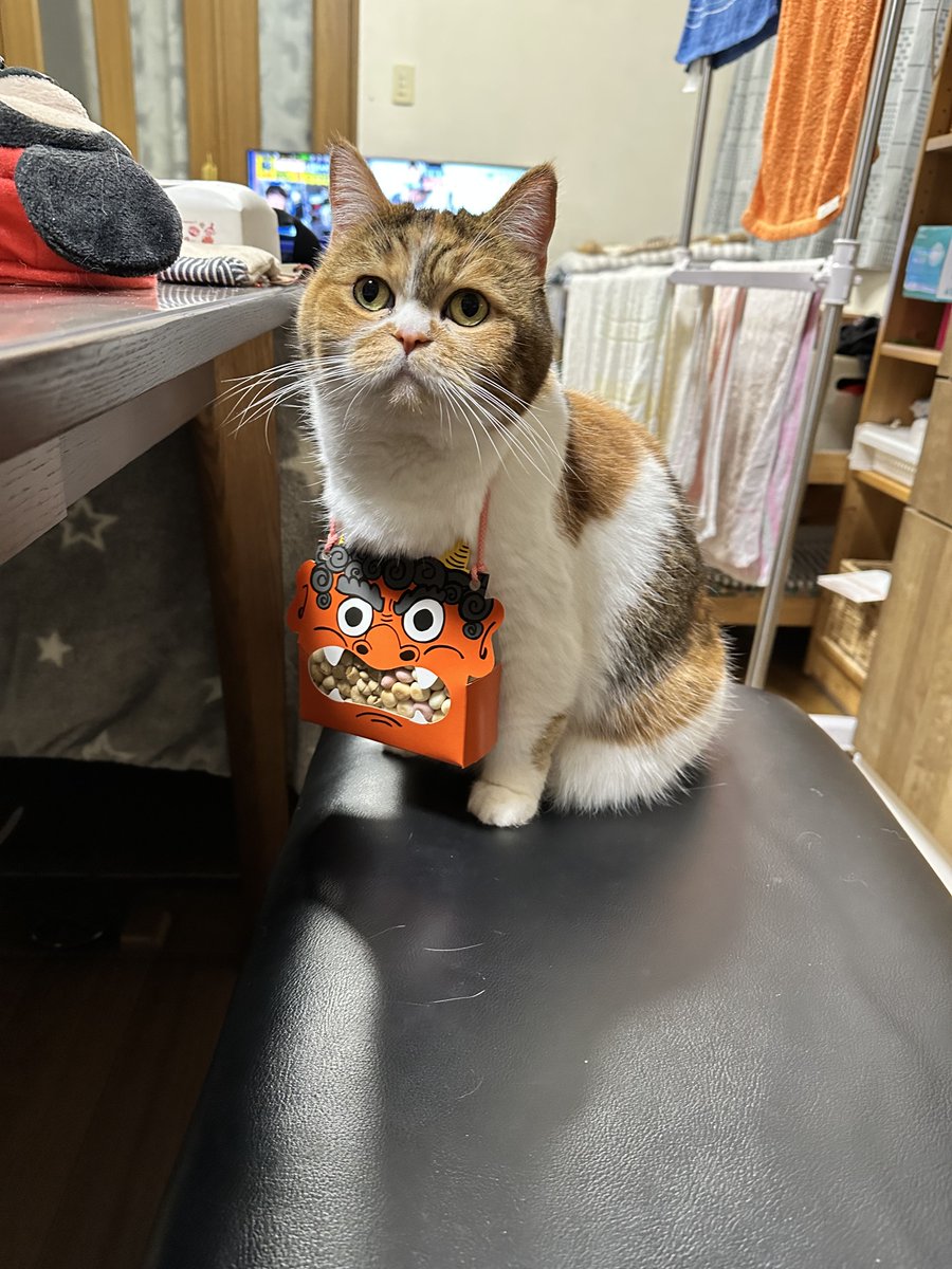 JZ5 (@jz5) / Posts / X