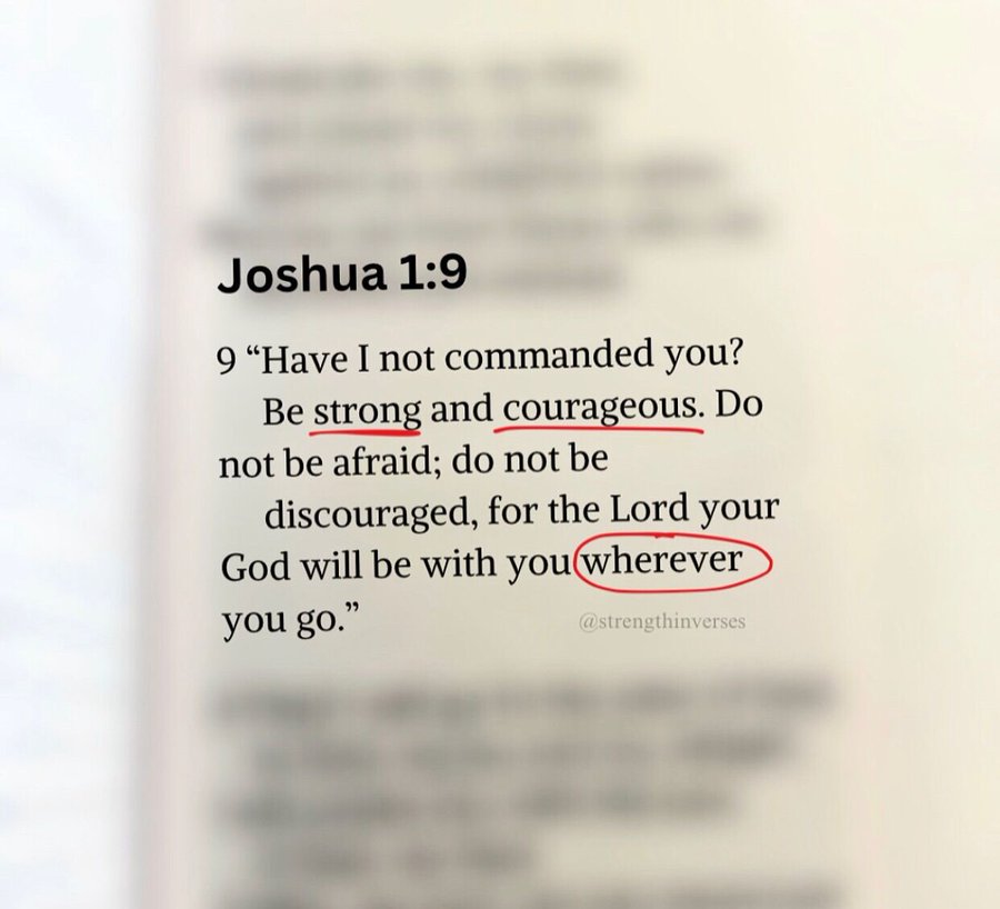 Bible 365 tweet media