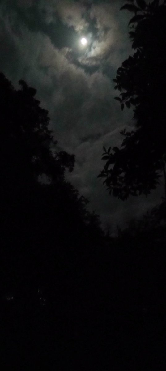 AleAlejandro172's tweet photo. - Suelten, el universo siempre devuelve luz en formas inesperadas.

                   ✨💫 https://t.co/qd0BsjA6SO