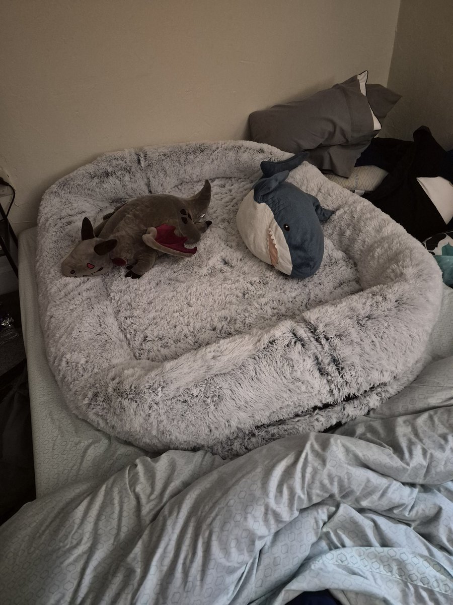 Rut, the Wolf tweet media