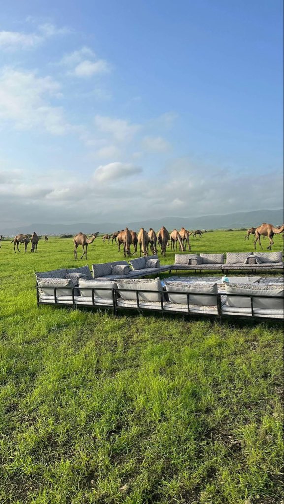 الأيام ما تجيك على وجهً واحد

                              مثل وجه الأدمي تتغير تعابيره

أبو فهد🍂

 #همسه_صباحيه