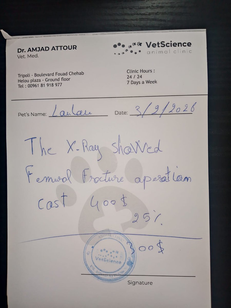 rescuinganimal's tweet photo. she was once someone's kitten 
than dumped on street dragging her little body in pain
the vet confirmed fractures in her pelvis and thigh she needs urgent surgery her life depends on acting fast please help ,share , donate so she can walk again
https://t.co/sHmIqljTJC https://t.co/fTaMKZ7u4p