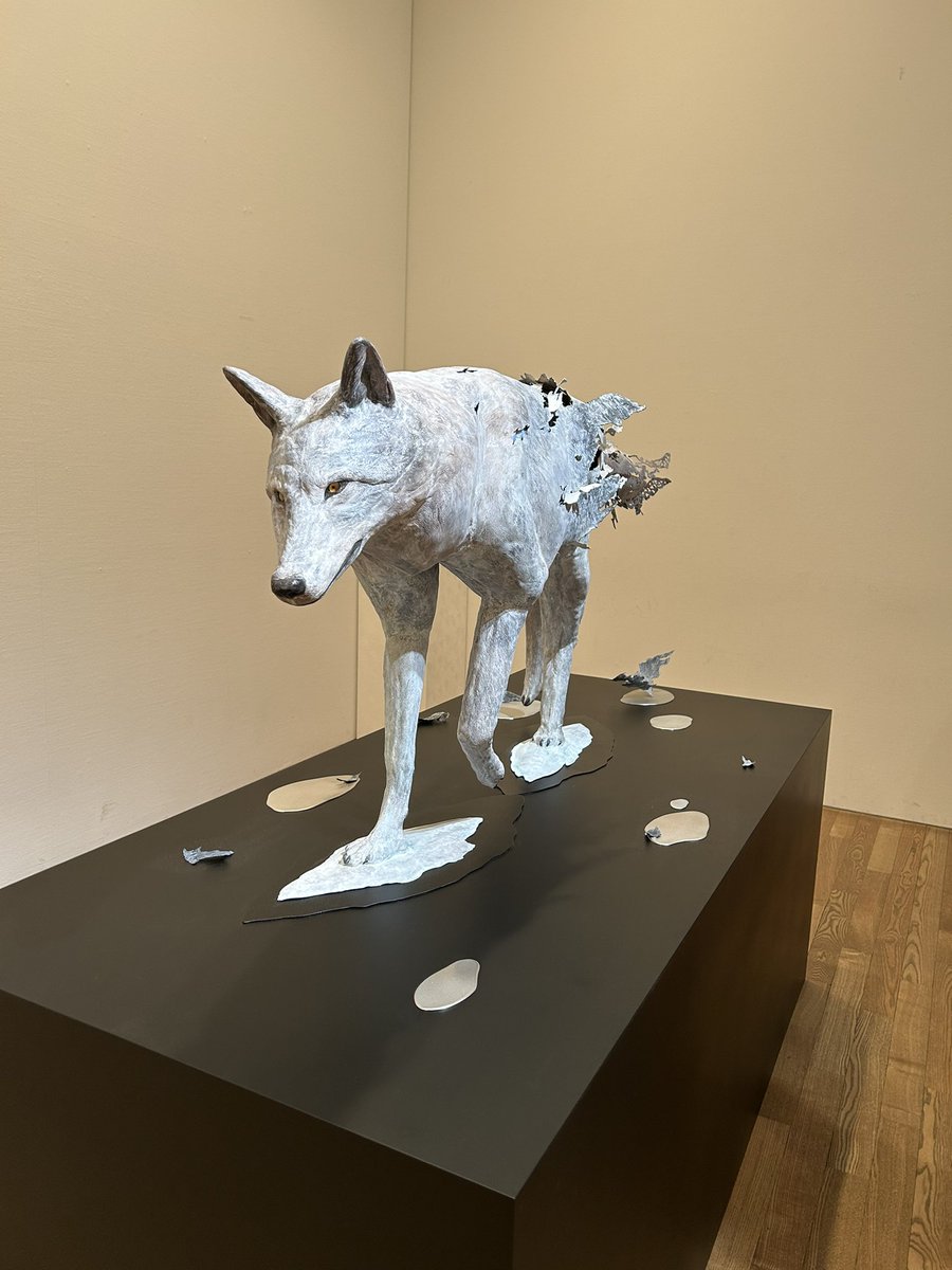 hachi888_hs's tweet photo. 藝大卒展で刺さった展示
全部自分でもやりたくなった https://t.co/sXv6Y5ufEQ