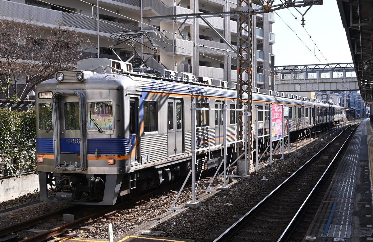 免活に!!高線量‼南砺ペグマタイト(60)