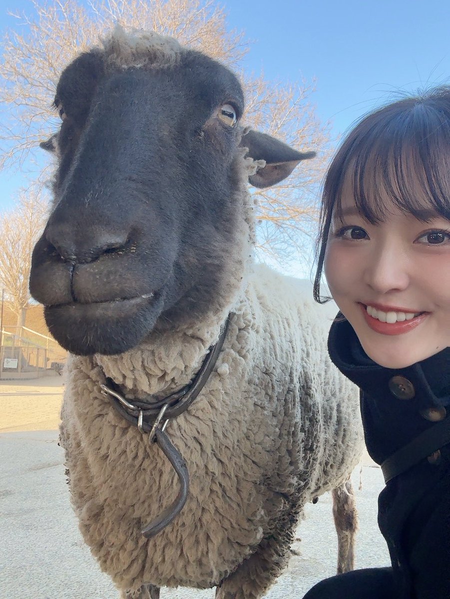 坂元誉梨🤍🦕 (@YoriSakamoto) / Posts / X