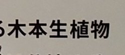den2mushi2's tweet photo. 大絶滅展行ってきました。主役はやっぱり火山とCO2だよね。
ひとつツッコミ。
色々フリガナ振ってくれてるのに、なぜここにはない？
読んでって子どもにせがまれてたお母さん、隣で困ってた... https://t.co/pR9KDPS7KX