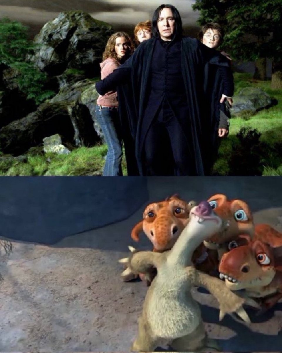 TheDailyHPotter's tweet photo. Same but different 🫣 https://t.co/RnlLP2tuMH