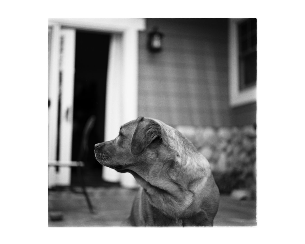 California Electric tweet media