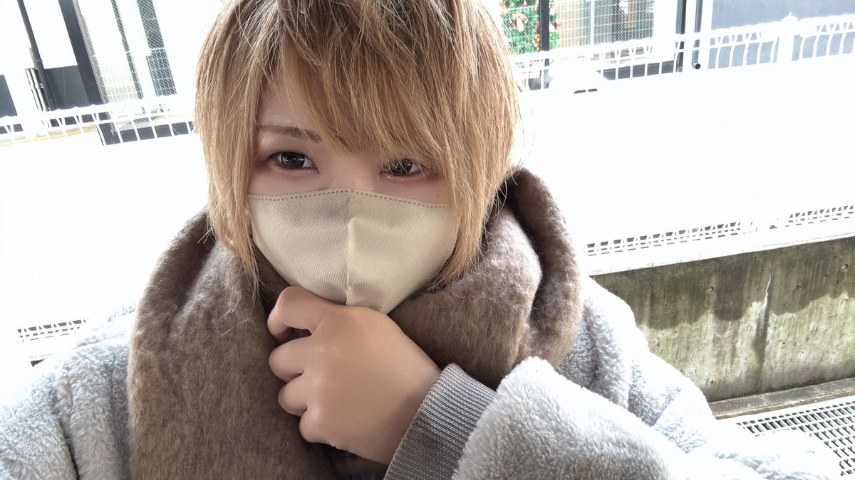 ぶーちゃん🐷📷 (@boochan_kmrmn) / Posts / X