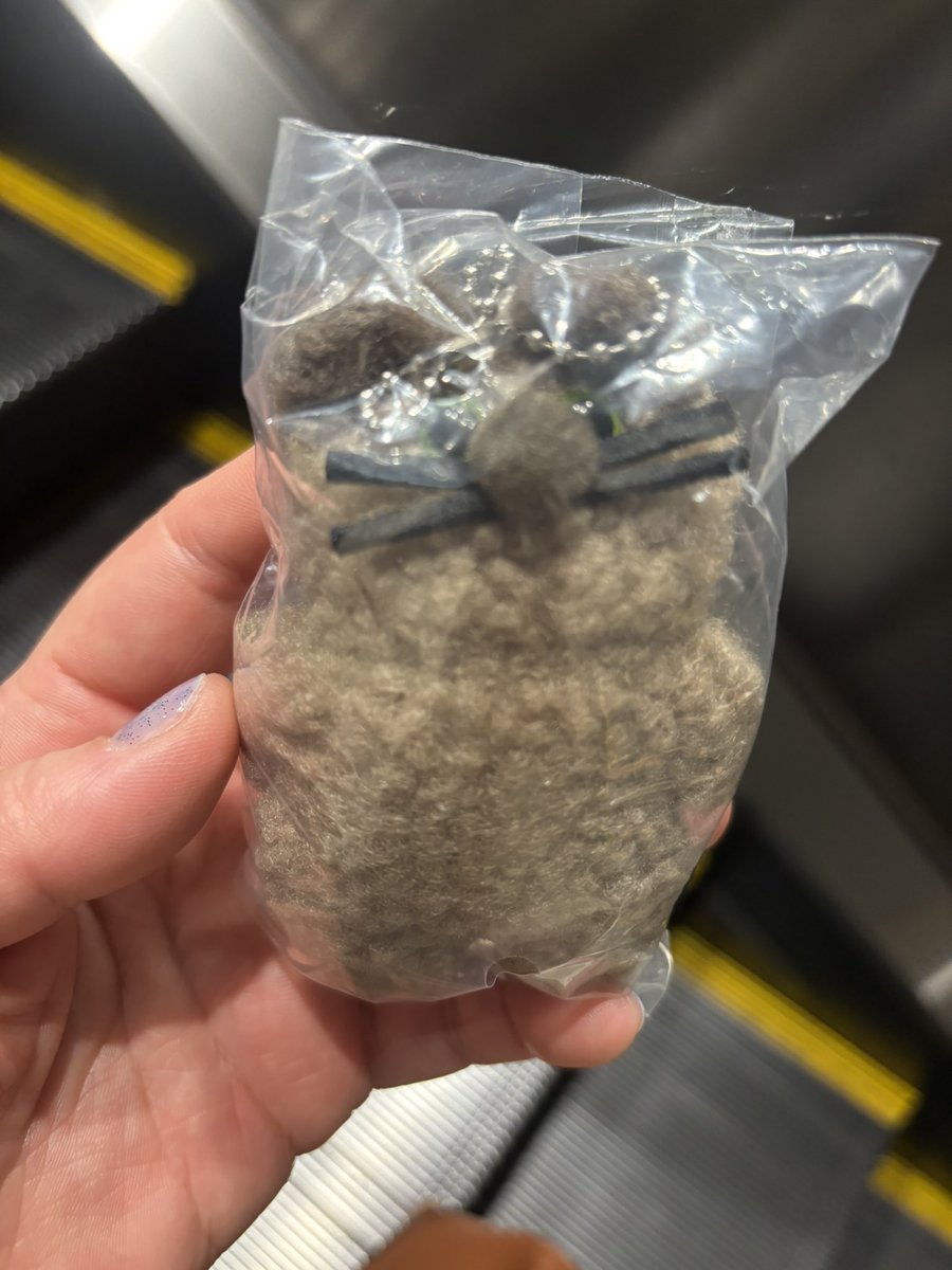 💙☃️おさつ🌸👆 tweet media